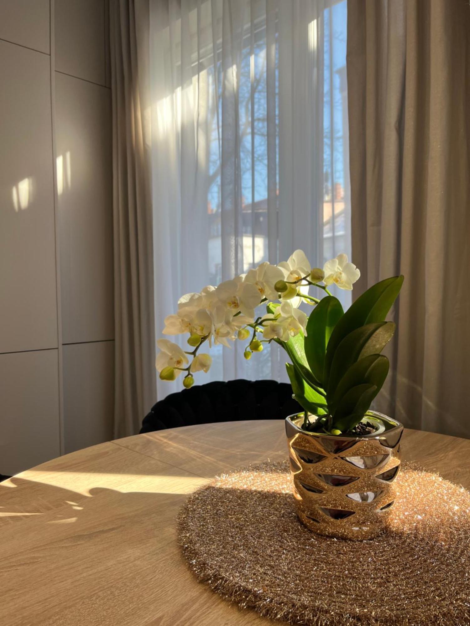 Apartament Kaszmirowy Bílsko-Bělá Exteriér fotografie